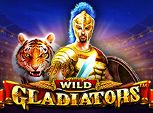 Capa de Wild Gladiator